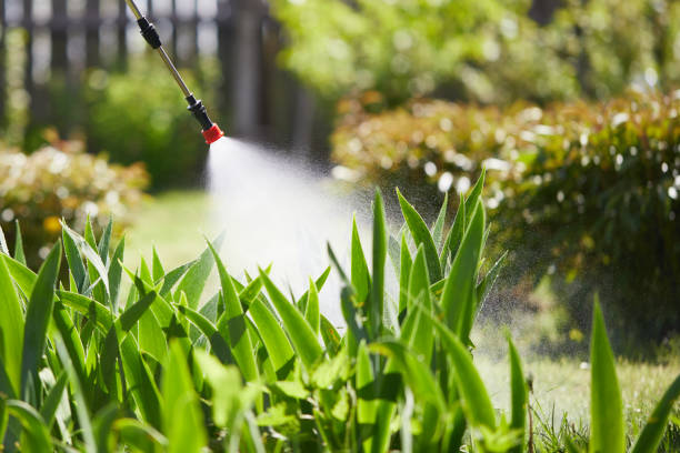 24/7 Emergency Mosquito Control experts in Republic, PA