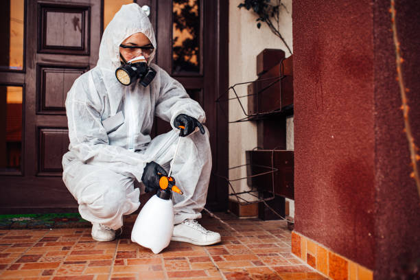 Reliable Mosquito Control contractor in Republic, PA by Show Me Pest Control